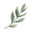 The Ritual Skin Lab logo